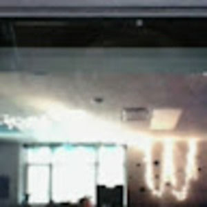 Meet your Posher, Dixie